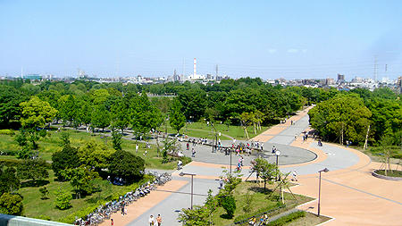 80506_4.jpg