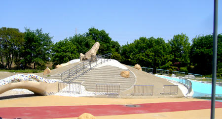 80506_5.jpg