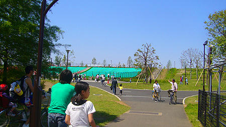 80506_6.jpg
