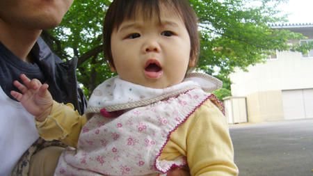 80522_4.jpg