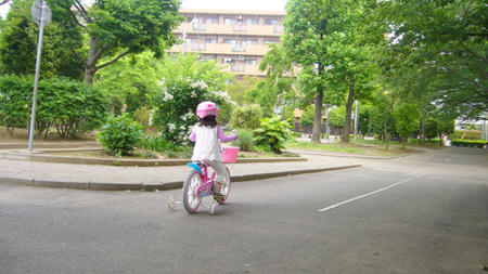 80522_3.jpg