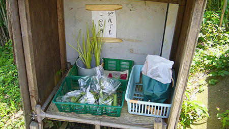 80603_1.jpg