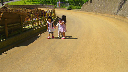 80603_2.jpg