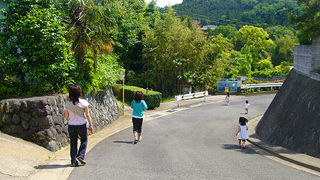 80603_4.jpg