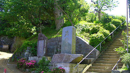 80603_5.jpg