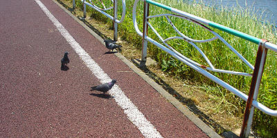 90519_5.jpg