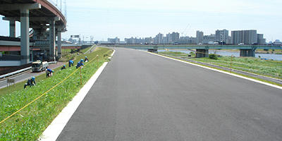 90519_13.jpg