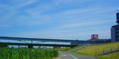 90519_17.jpg