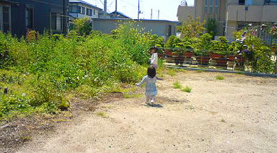 50525_1.jpg