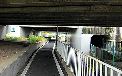 90601_5.jpg