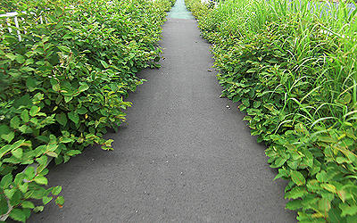 90601_6.jpg