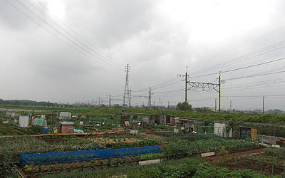 90601_13.jpg