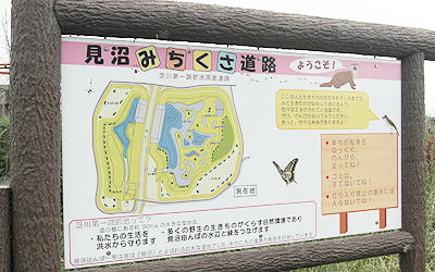 90601_14.jpg