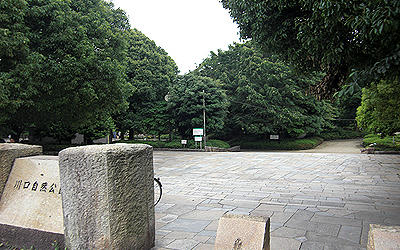 90601_17.jpg