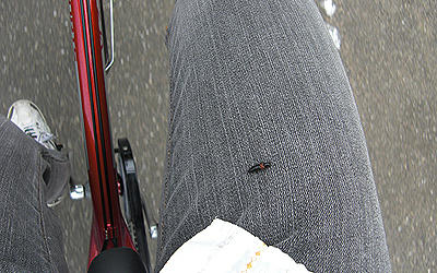 90601_18.jpg