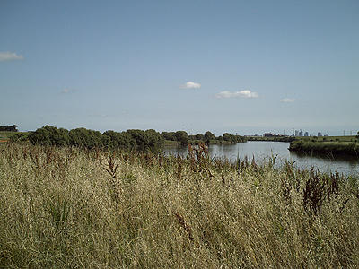 90611_8.JPG