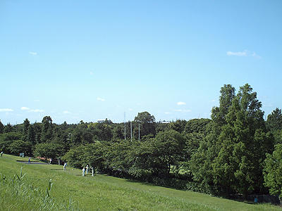 90611_14.JPG