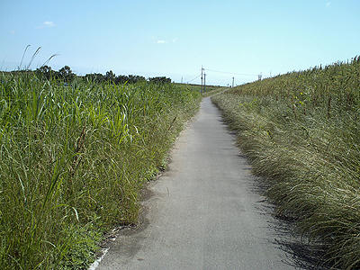 90611_16.JPG