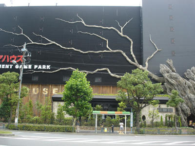 90629_11.JPG