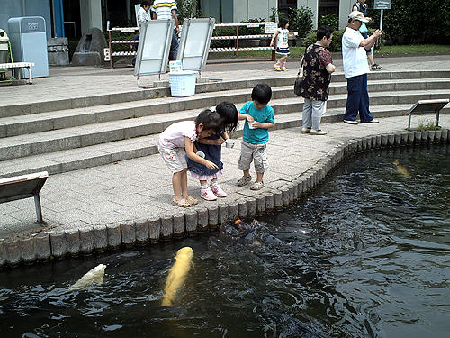 90707_5.JPG