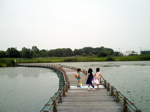fd2112f6.JPG