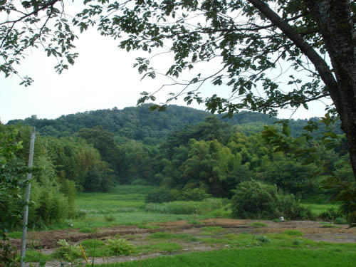 90722_4.JPG
