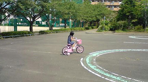 90817_4.jpg