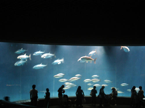 90907_B_6.JPG