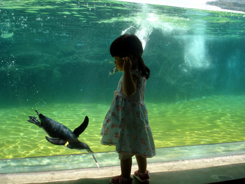 90907_B_8.JPG