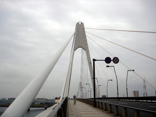 91001_3.JPG
