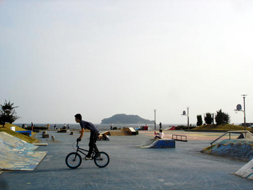 91001_19.JPG