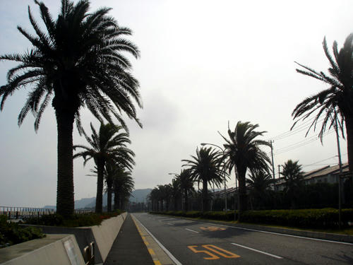91001_20.JPG