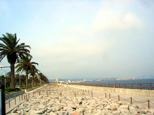 91001_22.JPG