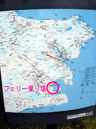 91001_27.JPG
