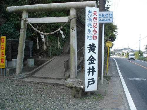 91002_14.JPG