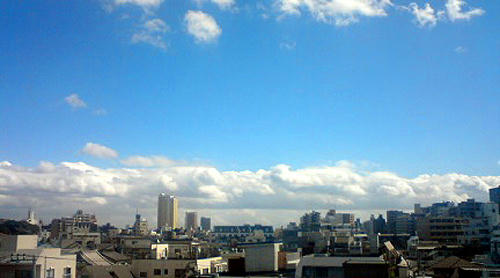 91008_1.jpg