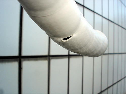 91009_10.JPG