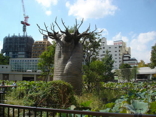 91014_9.JPG