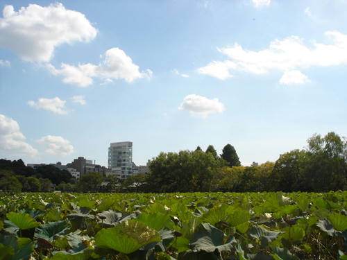 91014_11.JPG