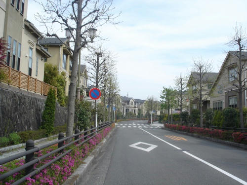 218405f5.JPG