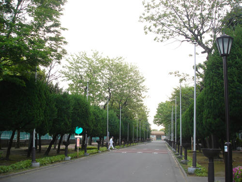100517A_1.JPG