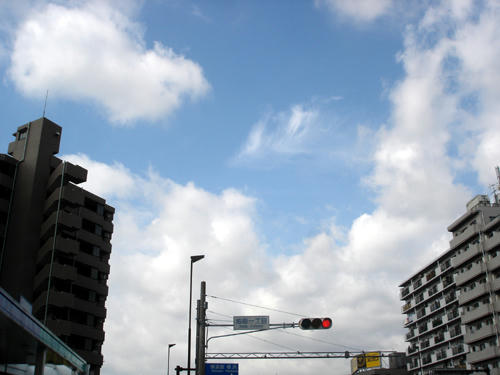 100517A_12.JPG