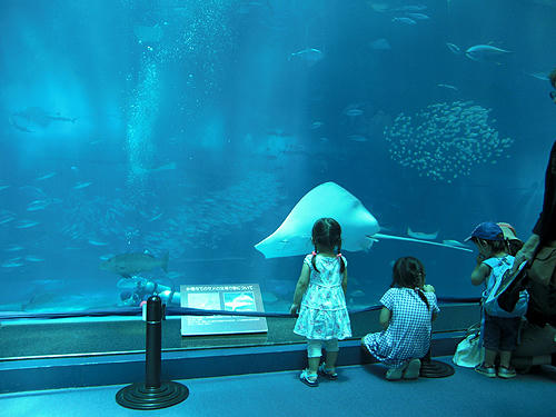 100625_19.JPG