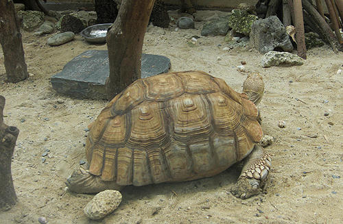 100626_3.JPG