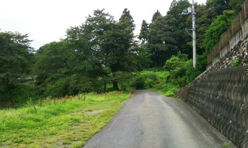 100713_8.jpg