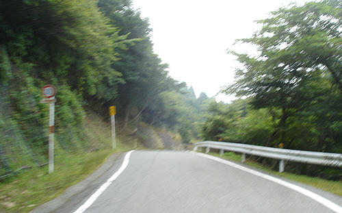 100810_5.JPG