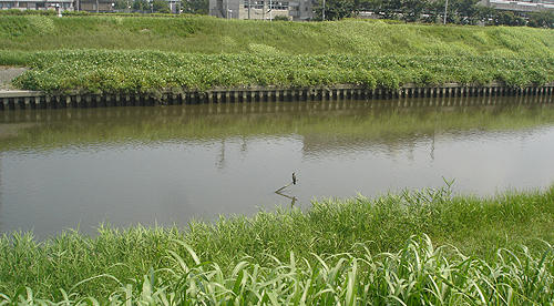 100824_3.JPG