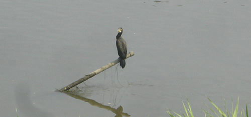 100824_4.JPG