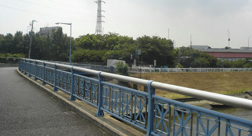 100824_7.JPG