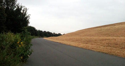 100907_3.jpg